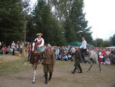 NGO Bory Tucholskie